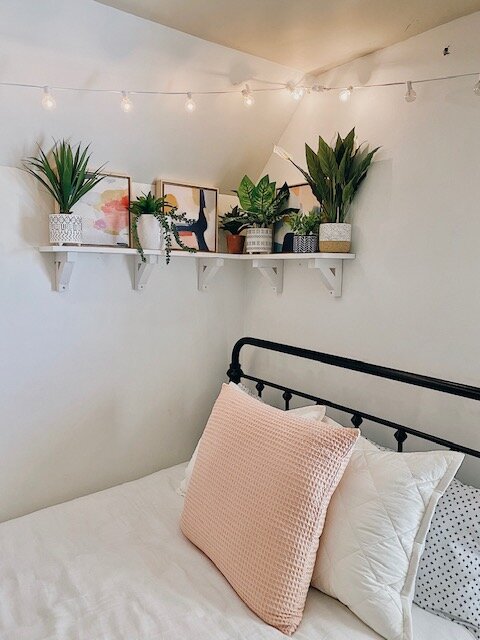 shelve bedroom plant ideas