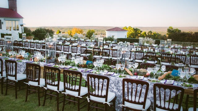 Bella Baxter Special Events I