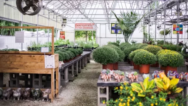 White River Nursery
