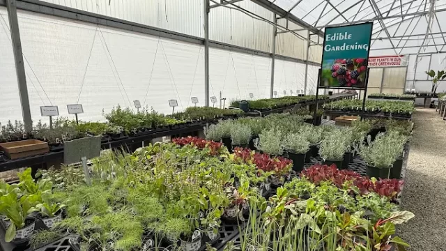 White River Nursery I