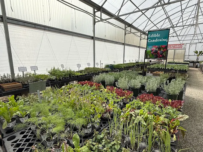 White River Nursery I