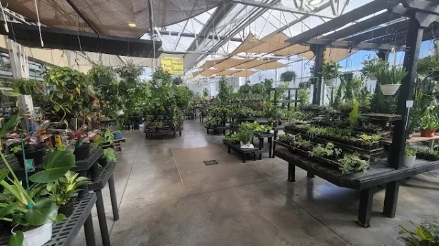 City Floral Garden Center