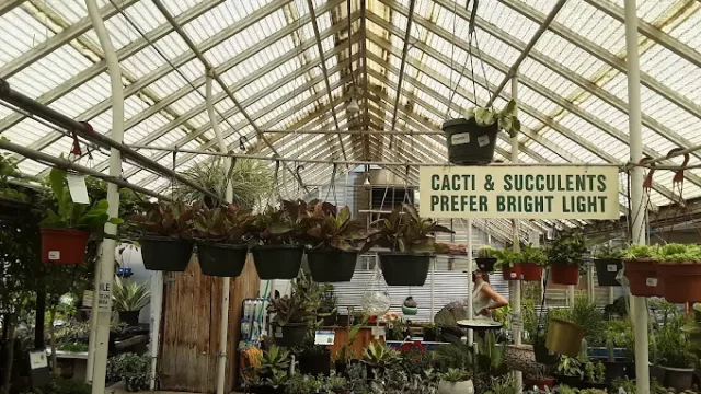 City Floral Garden Center I