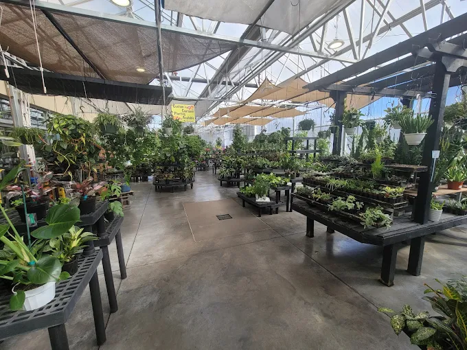 City Floral Garden Center
