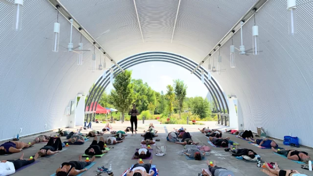 Cocoon Yoga Lab