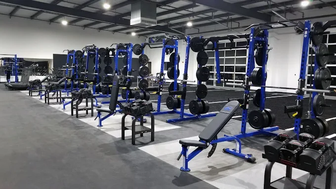 Fitness Gallery I