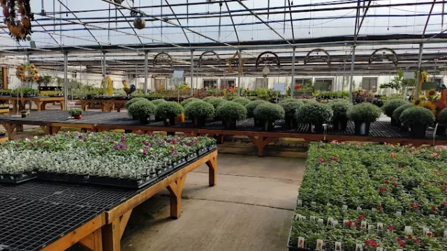 Garden City Nursery
