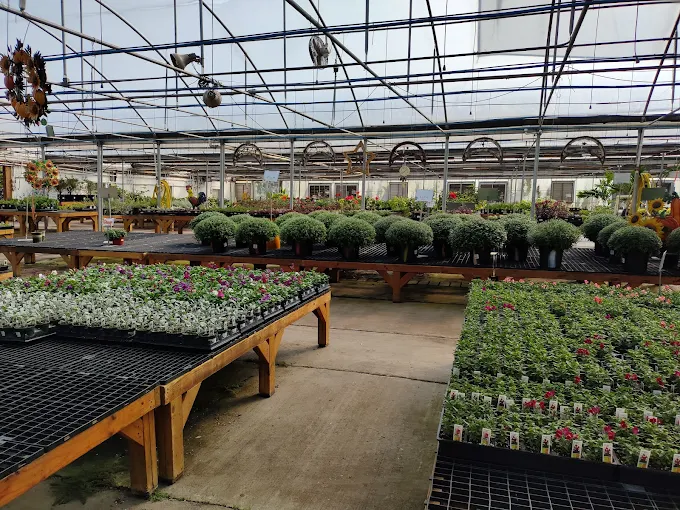 Garden City Nursery