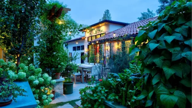 Ivy Street Design I