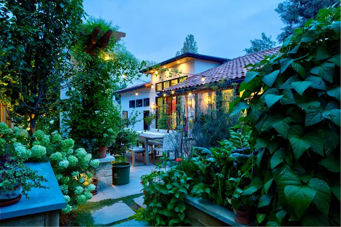Ivy Street Design I