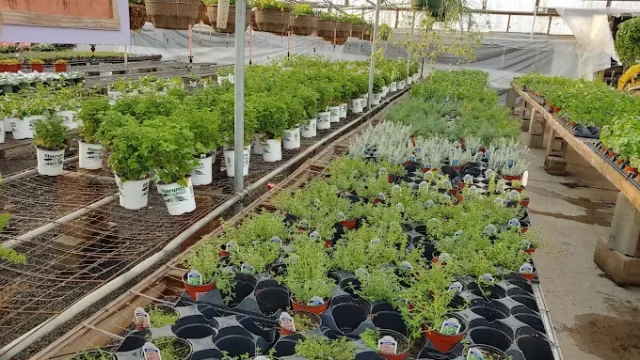 Sharum’s Garden Center