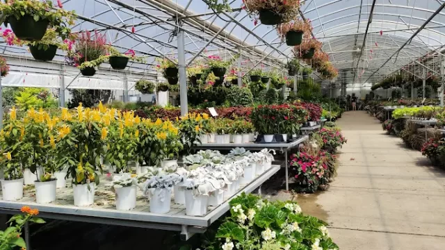 Westwood Gardens I