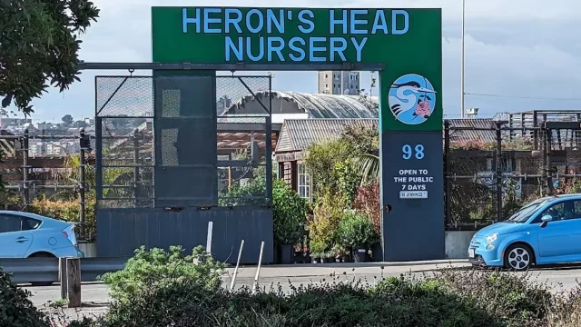 heron (1)