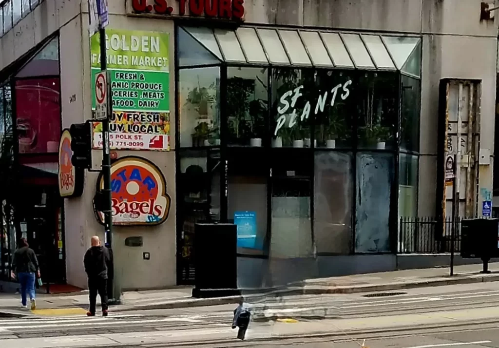 sf (1)