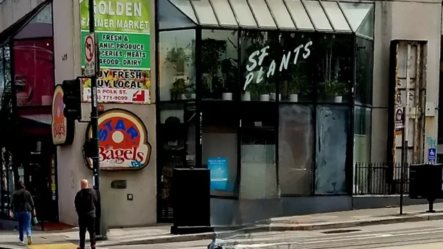sf (1)