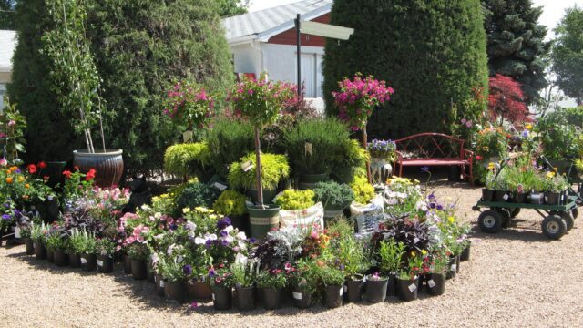 Harding Nursery, Inc.