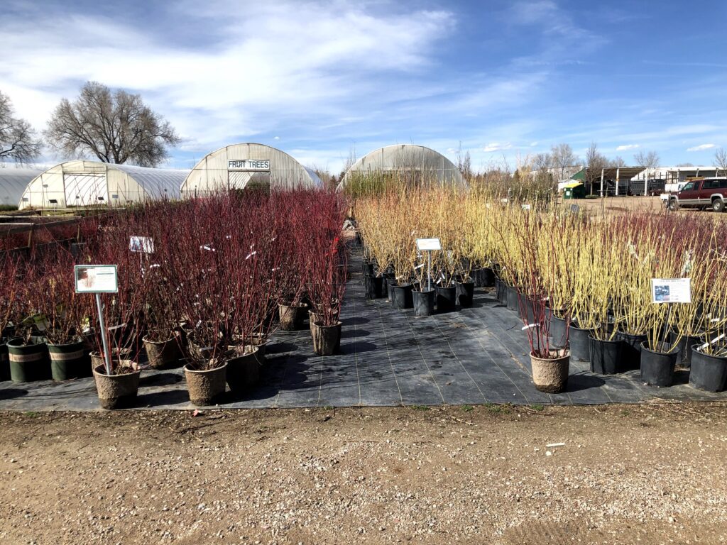 Harding Nursery, Inc. I