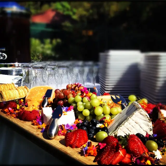 curosity catering (1)
