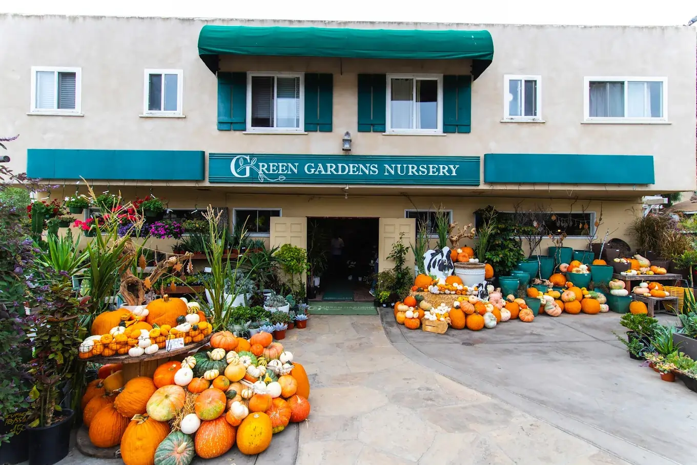 green garden nur (1)