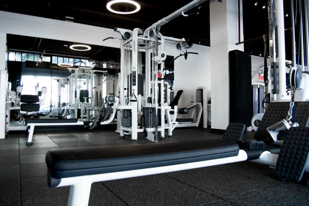 live fit gym
