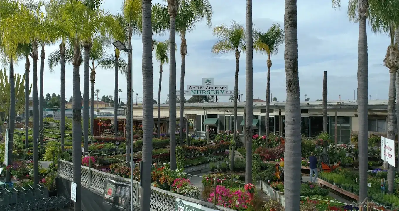 walter nursery (1)