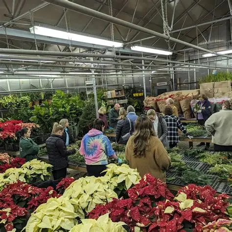Ganim’s Garden