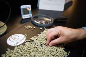 Green Coffee Analysis