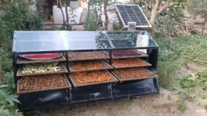 Solar Drying