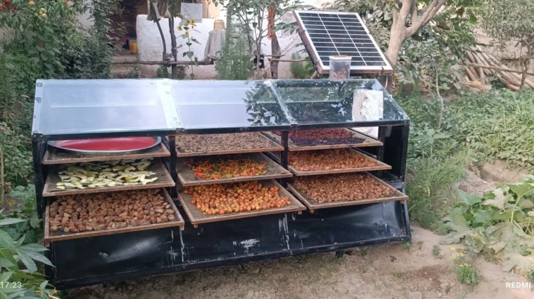 Solar Drying