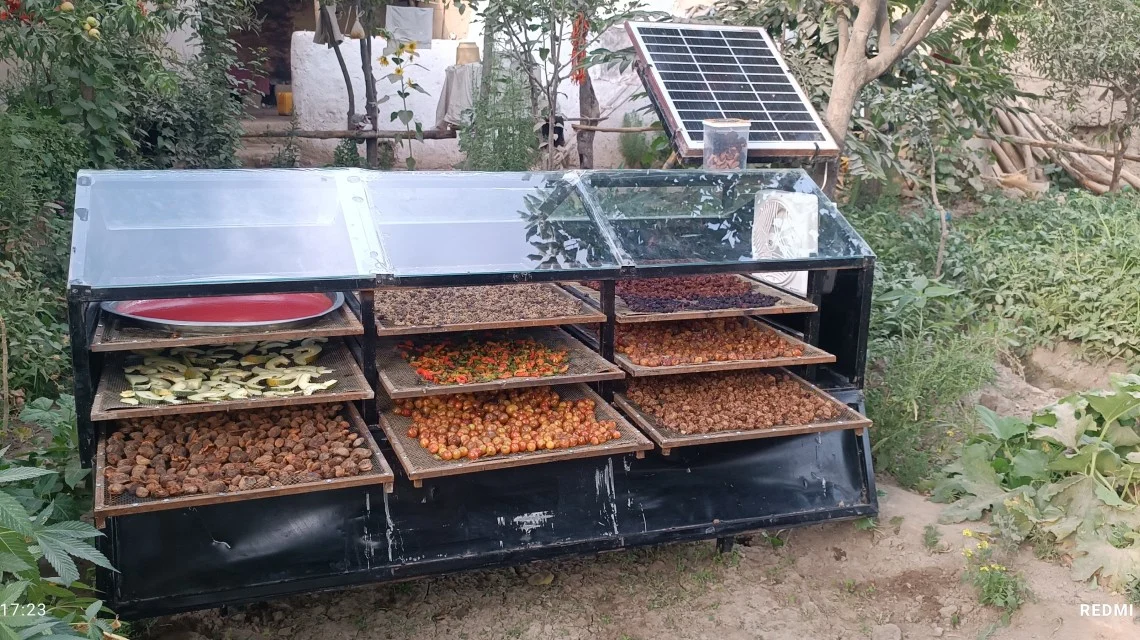 Solar Drying