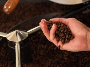 Coffee Export Quality Control